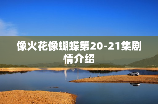 像火花像蝴蝶第20-21集剧情介绍