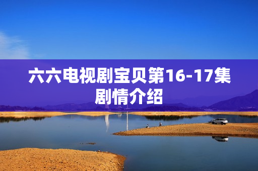 六六电视剧宝贝第16-17集剧情介绍