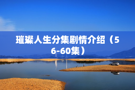 璀璨人生分集剧情介绍（56-60集）