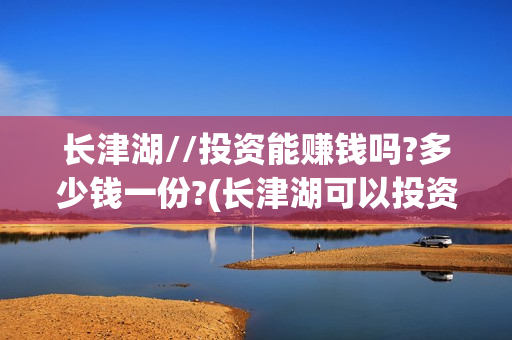 长津湖//投资能赚钱吗?多少钱一份?(长津湖可以投资吗)