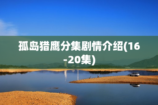 孤岛猎鹰分集剧情介绍(16-20集)