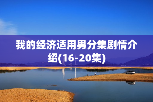 我的经济适用男分集剧情介绍(16-20集)