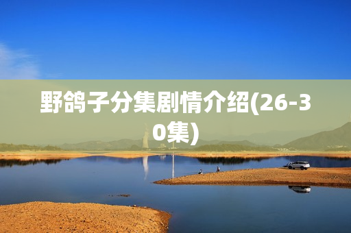 野鸽子分集剧情介绍(26-30集)