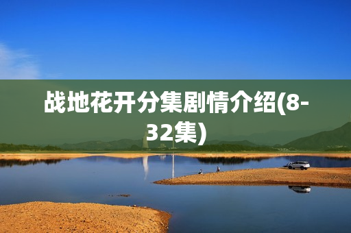 战地花开分集剧情介绍(8-32集)