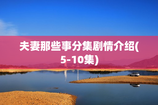 夫妻那些事分集剧情介绍(5-10集)