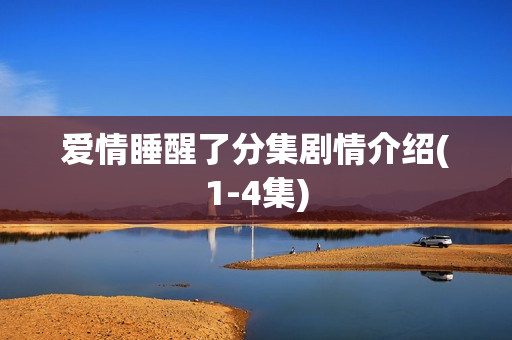 爱情睡醒了分集剧情介绍(1-4集)