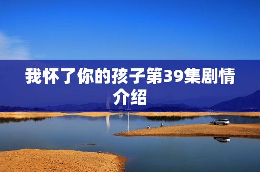 我怀了你的孩子第39集剧情介绍