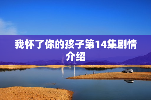 我怀了你的孩子第14集剧情介绍