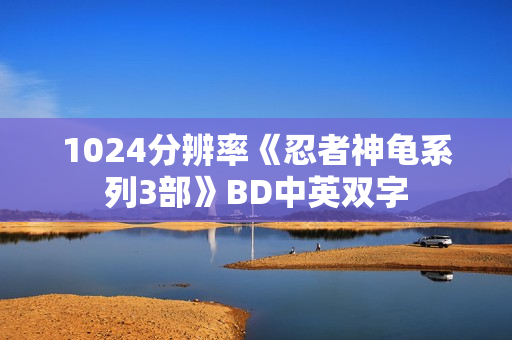1024分辨率《忍者神龟系列3部》BD中英双字