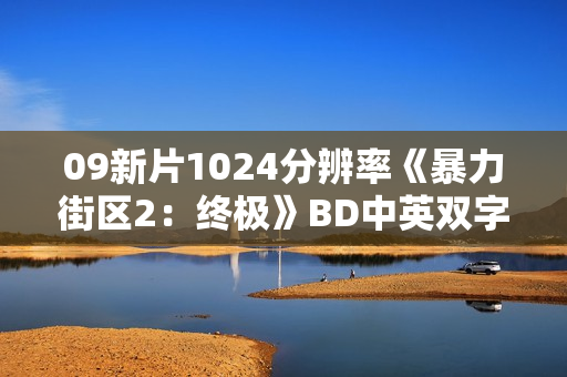 09新片1024分辨率《暴力街区2：终极》BD中英双字