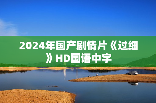 2024年国产剧情片《过细》HD国语中字