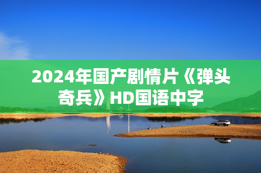 2024年国产剧情片《弹头奇兵》HD国语中字