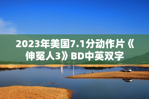 2023年美国7.1分动作片《伸冤人3》BD中英双字