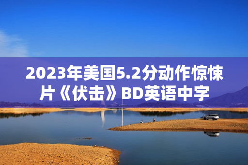 2023年美国5.2分动作惊悚片《伏击》BD英语中字