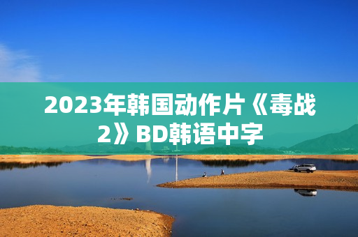 2023年韩国动作片《毒战2》BD韩语中字