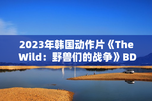 2023年韩国动作片《The Wild：野兽们的战争》BD韩语中字