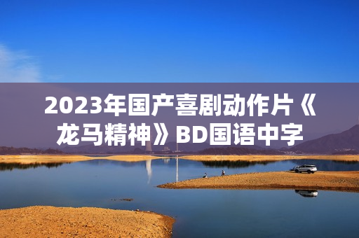 2023年国产喜剧动作片《龙马精神》BD国语中字