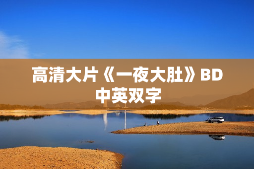 高清大片《一夜大肚》BD中英双字