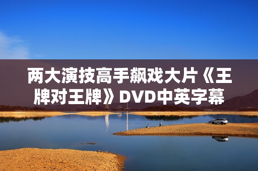 两大演技高手飙戏大片《王牌对王牌》DVD中英字幕