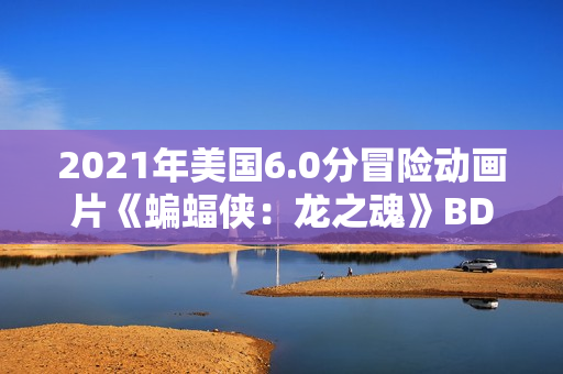 2021年美国6.0分冒险动画片《蝙蝠侠：龙之魂》BD中英双字