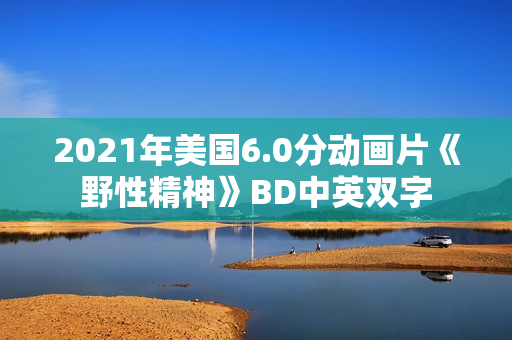 2021年美国6.0分动画片《野性精神》BD中英双字