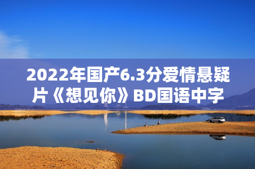 2022年国产6.3分爱情悬疑片《想见你》BD国语中字