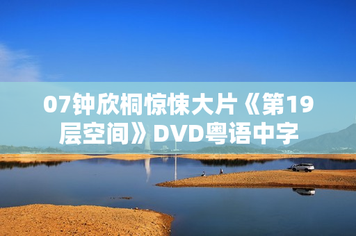 07钟欣桐惊悚大片《第19层空间》DVD粤语中字