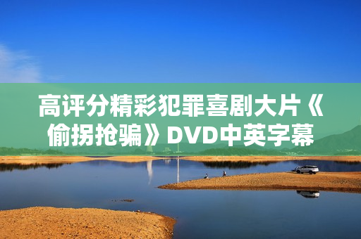 高评分精彩犯罪喜剧大片《偷拐抢骗》DVD中英字幕