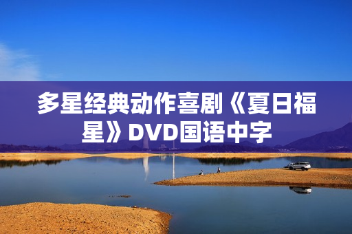 多星经典动作喜剧《夏日福星》DVD国语中字