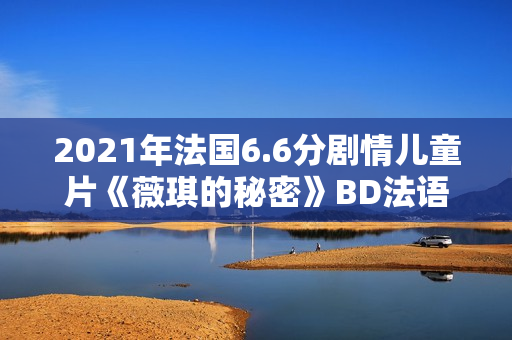 2021年法国6.6分剧情儿童片《薇琪的秘密》BD法语中字 2021年法国6.6分剧情儿童片《薇琪的秘密》BD法语中字