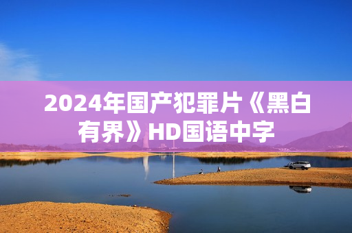 2024年国产犯罪片《黑白有界》HD国语中字