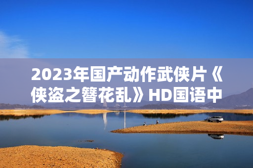 2023年国产动作武侠片《侠盗之簪花乱》HD国语中字