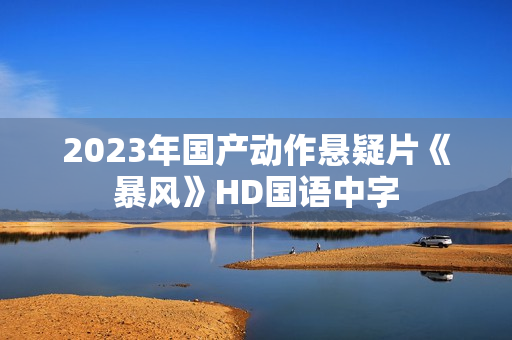 2023年国产动作悬疑片《暴风》HD国语中字
