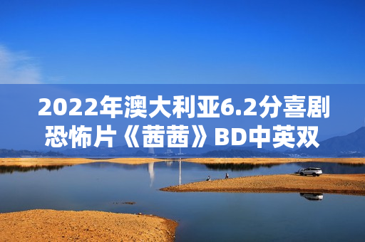 2022年澳大利亚6.2分喜剧恐怖片《茜茜》BD中英双字
