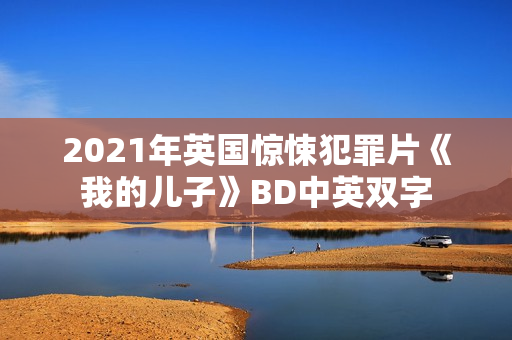 2021年英国惊悚犯罪片《我的儿子》BD中英双字 2021年英国惊悚犯罪片《我的儿子》BD中英双字