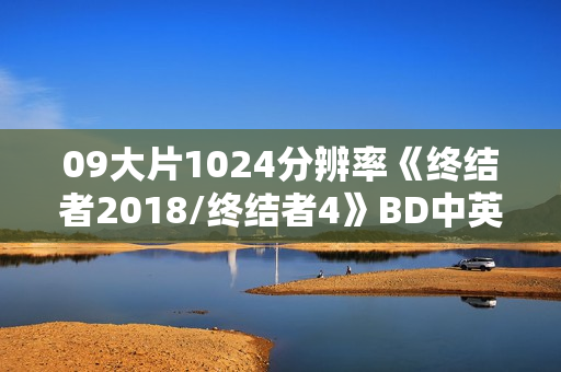 09大片1024分辨率《终结者2018/终结者4》BD中英双字