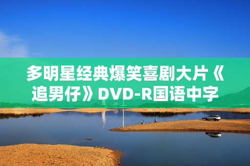 多明星经典爆笑喜剧大片《追男仔》DVD-R国语中字