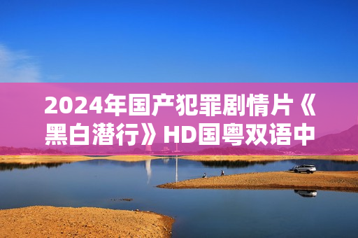 2024年国产犯罪剧情片《黑白潜行》HD国粤双语中字 2024年国产犯罪剧情片《黑白潜行》HD国粤双语中字