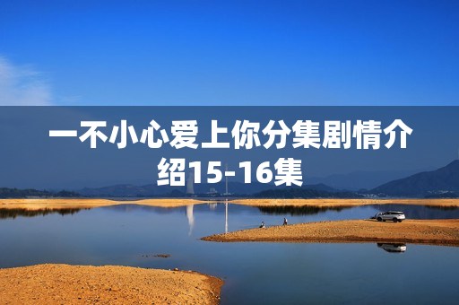 一不小心爱上你分集剧情介绍15-16集