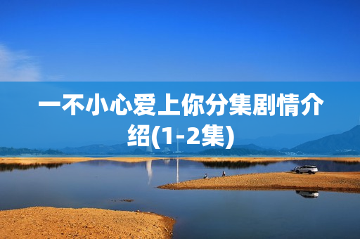 一不小心爱上你分集剧情介绍(1-2集)