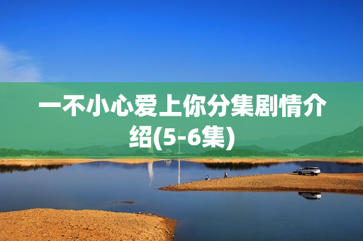 一不小心爱上你分集剧情介绍(5-6集)