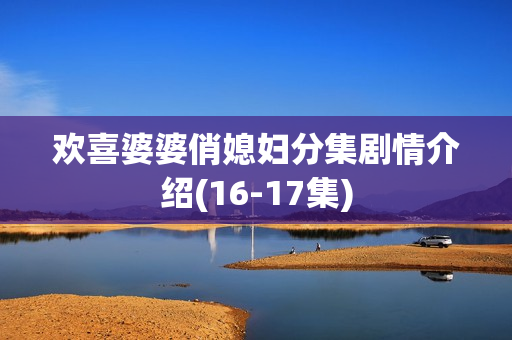 欢喜婆婆俏媳妇分集剧情介绍(16-17集)