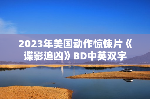 2023年美国动作惊悚片《谍影追凶》BD中英双字