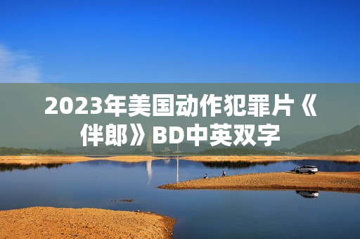 2023年美国动作犯罪片《伴郎》BD中英双字