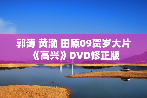 郭涛 黄渤 田原09贺岁大片《高兴》DVD修正版