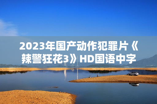 2023年国产动作犯罪片《辣警狂花3》HD国语中字