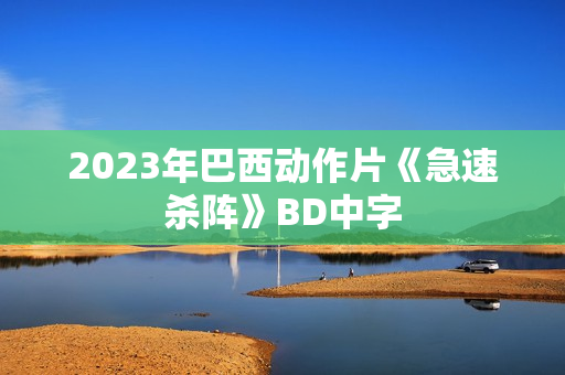 2023年巴西动作片《急速杀阵》BD中字 2023年巴西动作片《急速杀阵》BD中字