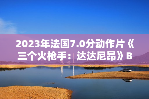 2023年法国7.0分动作片《三个火枪手：达达尼昂》BD法语中字