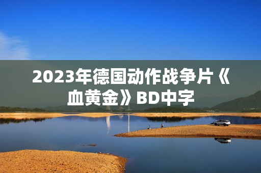 2023年德国动作战争片《血黄金》BD中字