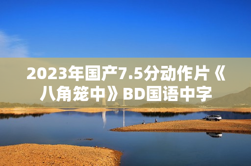 2023年国产7.5分动作片《八角笼中》BD国语中字